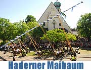 Maibaum aufstellen 2007 in Großhadern (©Foto: Ingrid Grossmann)